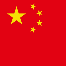 Chinese Visa Photo