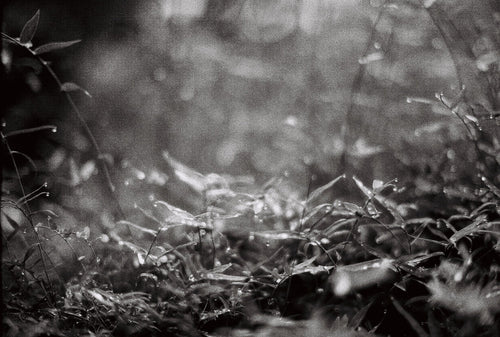 Member Moment: Kenny Ong