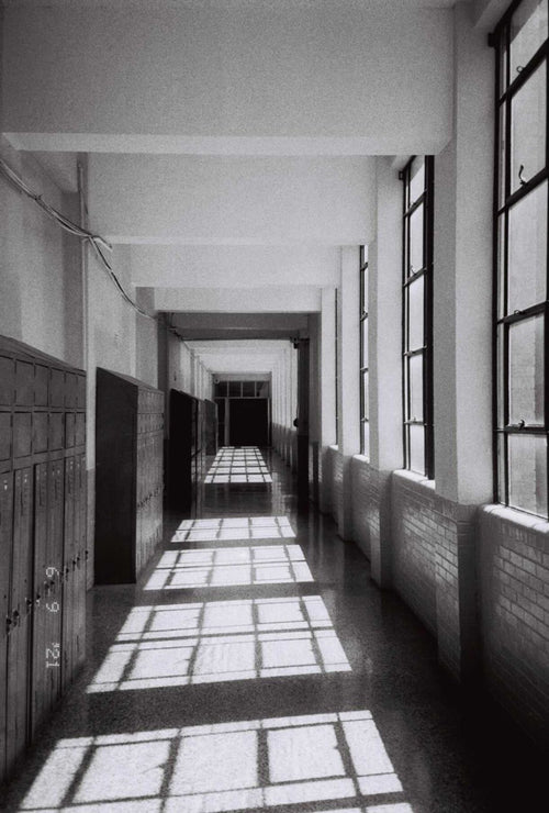 Theme: Natural Light