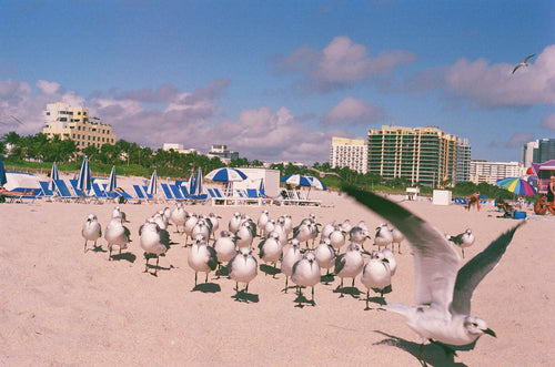 Member Moment: Madasyn Andrews