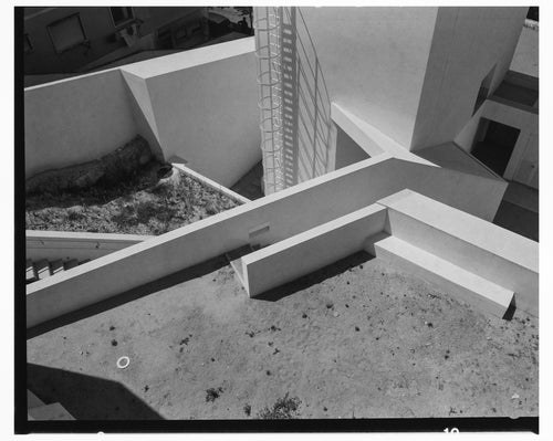 Member Moment: Alba Juliao