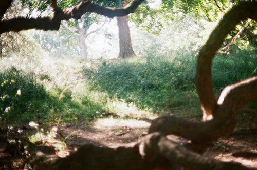 Member Moment: Emi Strati