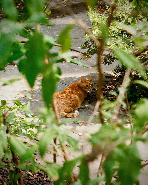 Member Moment: Claire Sibley