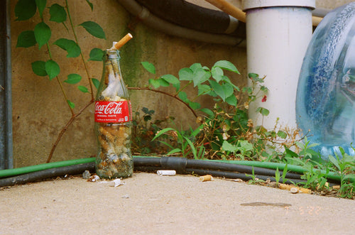 Member Moment: Isabelle Cotney