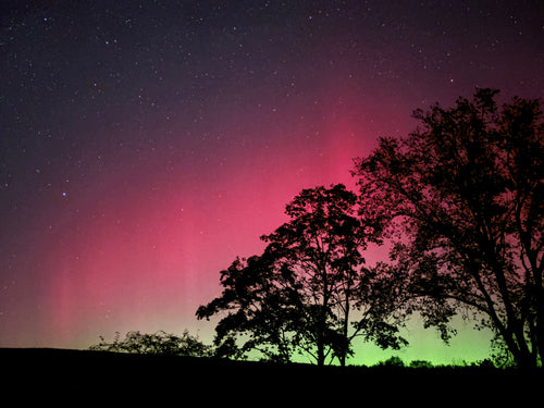 Member Moment: Kaiden Van Brunt