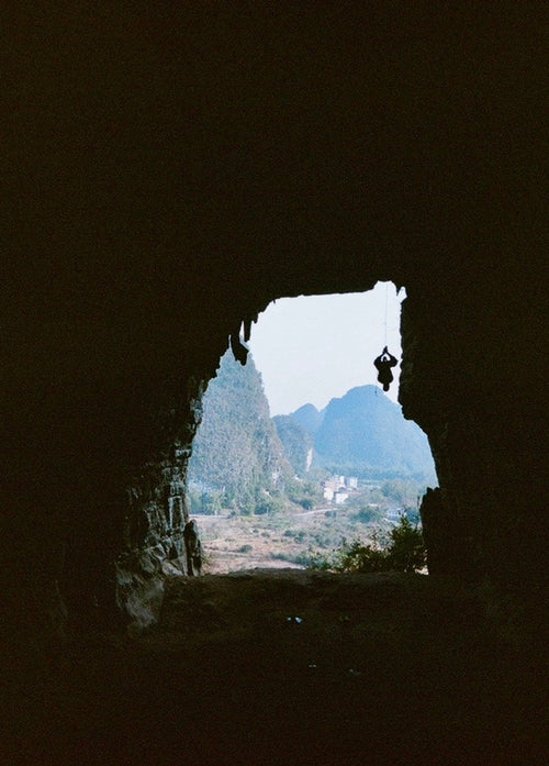 Theme: Wild at Heart