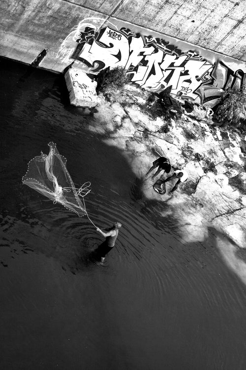 Theme: Action/Movement