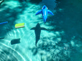 Jaws