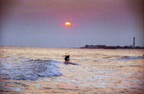 Cape May Surfer 2000
