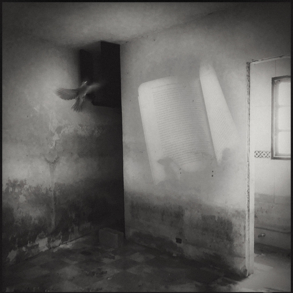 Eric Mencher - Book And Bird