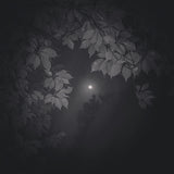 Full Moon Rainy Night 2018