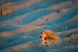 Sunrise Sandy Beach 2021